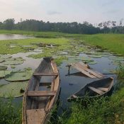 peru jungle tours