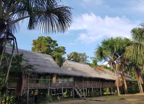 AMAZON LODGE & RAINFOREST TRIPS WITH NATIVE FAMILIES
