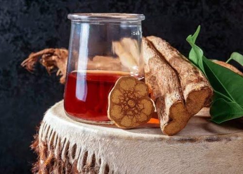 ABOUT AYAHUASCA