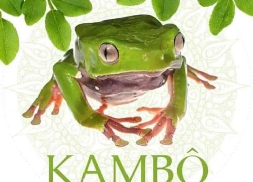 Kambo Ceremony and Ayahuasca retreat in peru
