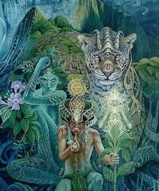 8, days,12 days Ayahuasca Retreat Iquitos