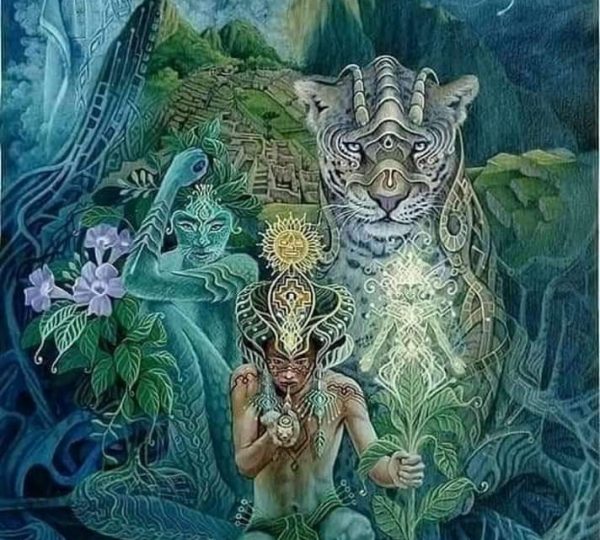 a natural medicine prepared by herbs and junglr roots