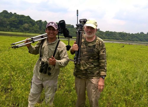 BIRDWATHING TOURS