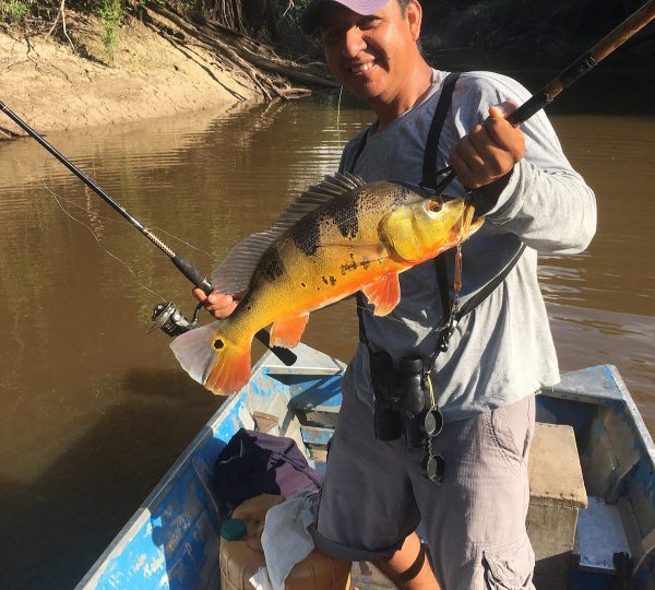 Bass fishing tours in the peruvian amazon