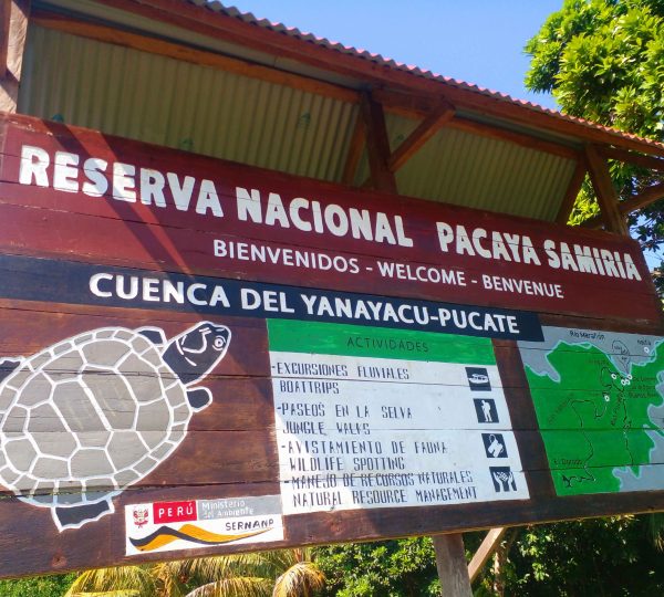 rainforest-jungle-tours-iquitos-peru
