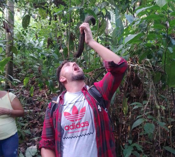 a tourist drinking water vine in the jungle