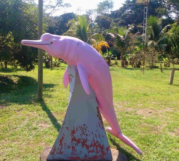 Amazon Camping Tours