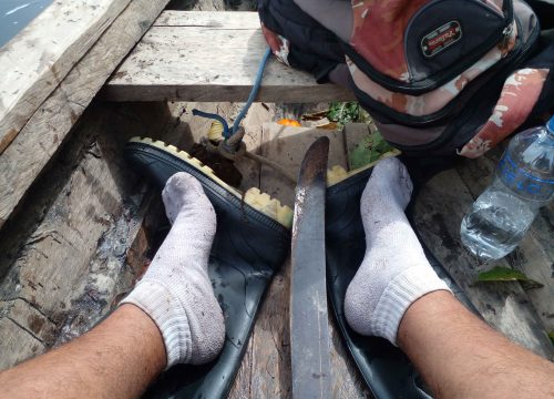 Amazon Survival Tour 6 days 5 nights