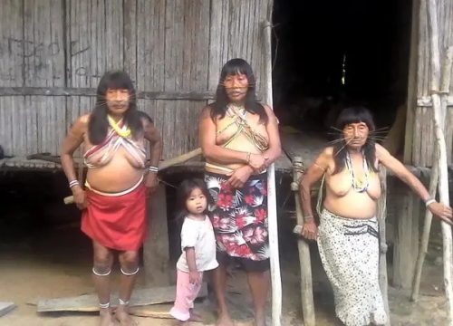 Expeditions to Matses Tribe