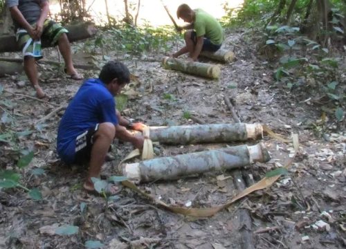 Amazon Survival tours Peru – Rainforest Skills Survival Challenge
