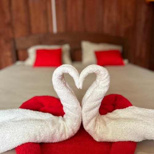 peru rainforest lodge