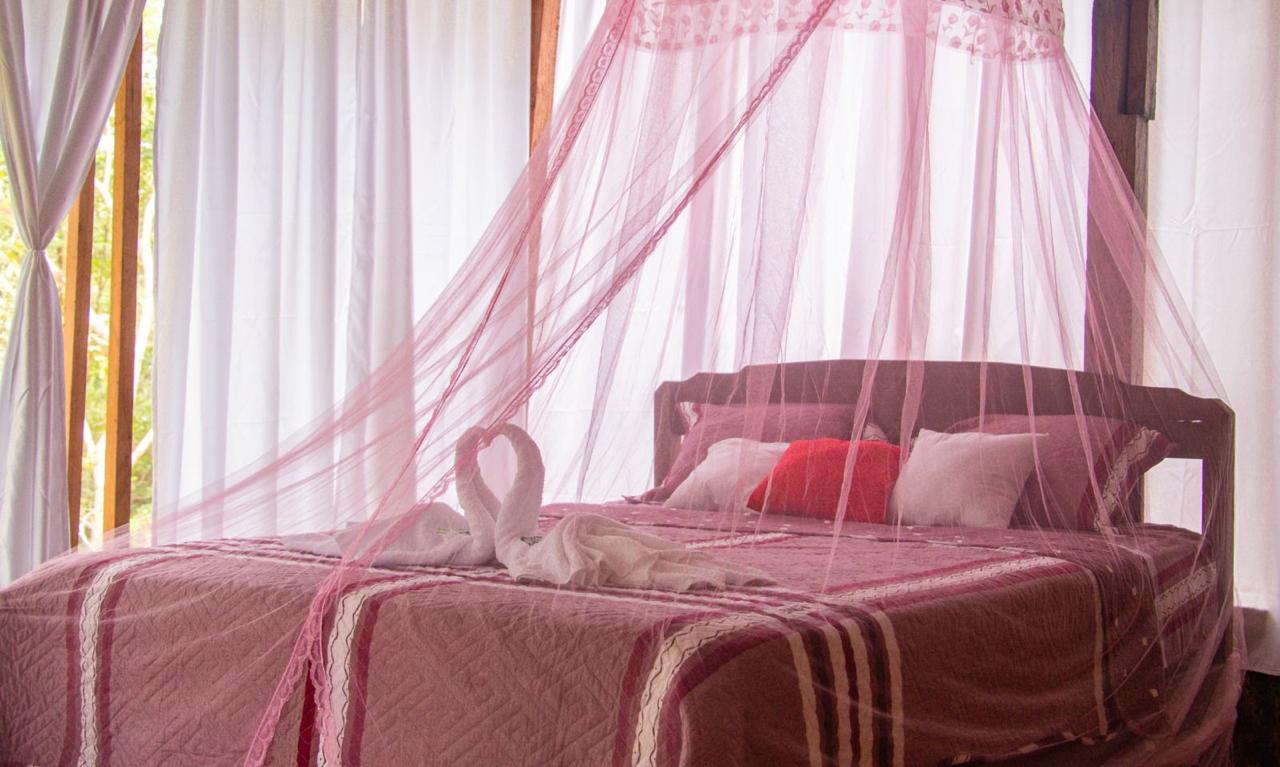 Captures the essence of the Jungle