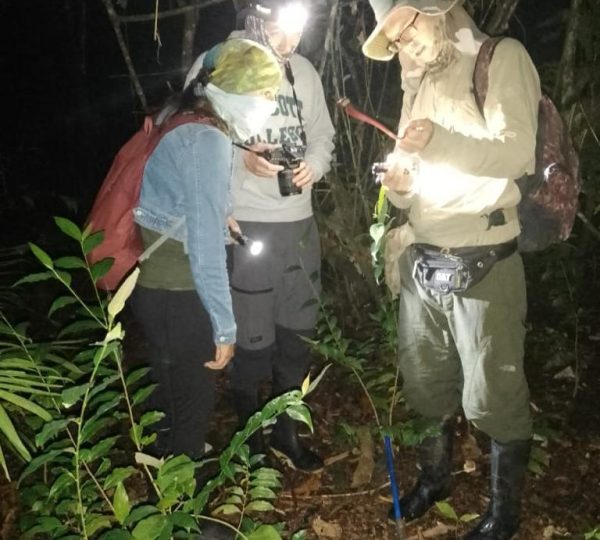 wildlife tour iquitos peru