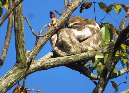 photography tour in iquitos peru